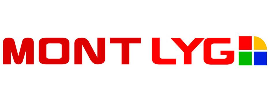 Montajes Industriales Lyg