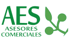 Aes Asesores Comerciales