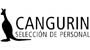 Cangurin